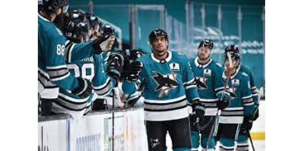 Napadač je zabranjen za 21 utakmicu zbog kršenja NHL-ovog sporazuma o COVID-19 Napadač je zabranjen za 21 utakmicu zbog kršenja NHL-ovog sporazuma o COVID-19
